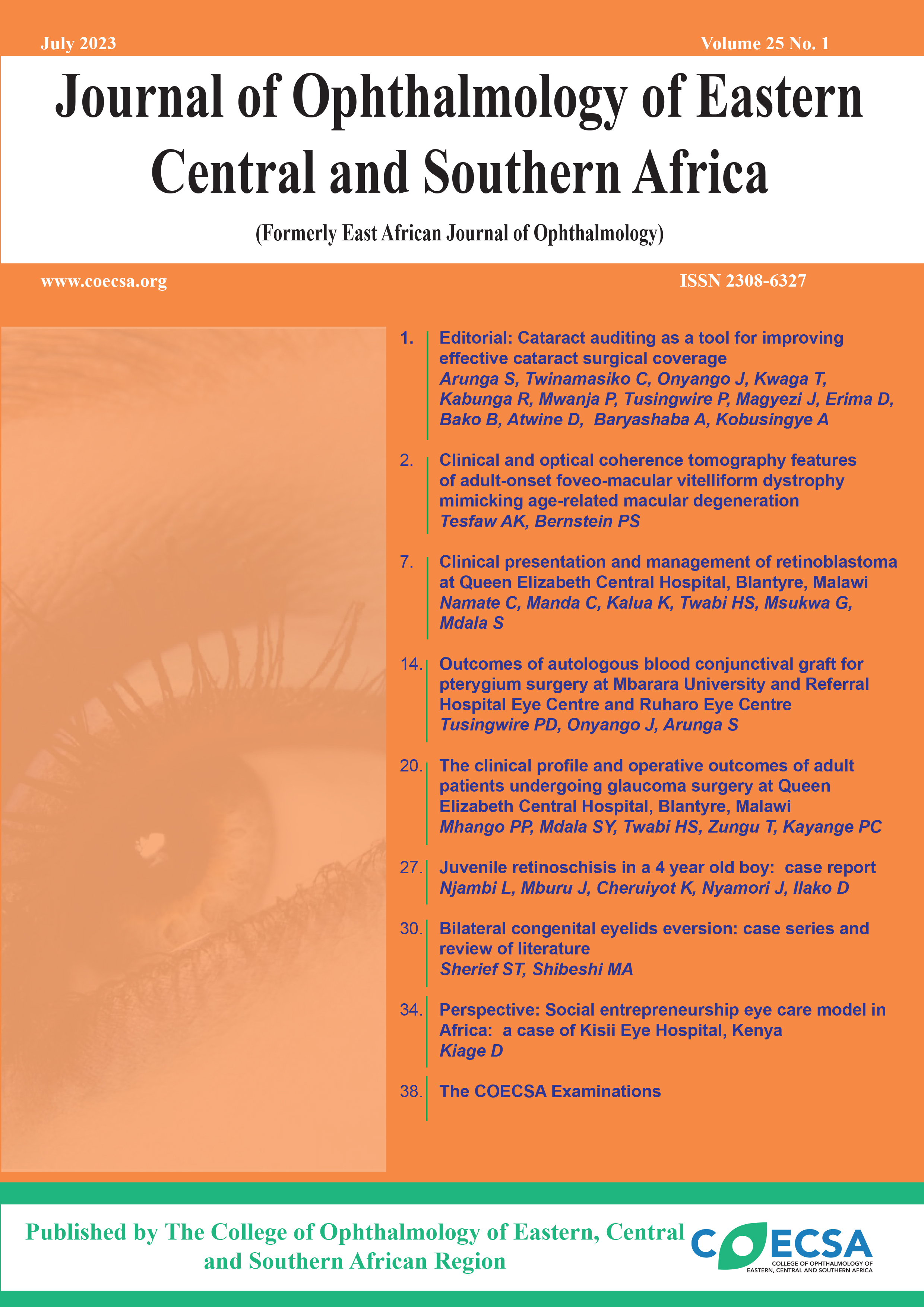 JOECSA JULY 2023 Volume 25 No.1